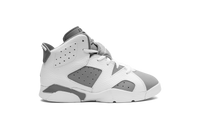 Air Jordan 6 PS Cool Grey DV3605 100