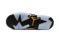 Air Jordan 6 Retro GS DMP CT4964 007