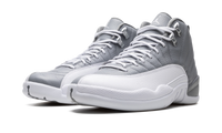 Air Jordan 12 Stealth CT8013 015