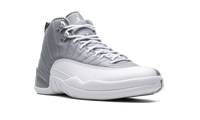Air Jordan 12 Stealth CT8013 015