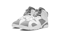 Air Jordan 6 PS Cool Grey DV3605 100