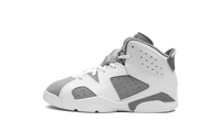 Air Jordan 6 PS Cool Grey DV3605 100