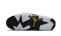 Air Jordan 6 Retro DMP 2020 CT4954 007