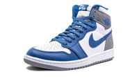Air Jordan 1 High OG True Blue DZ5485 410