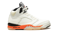 Air Jordan 5 Retro Shattered Backboard DC1060 100
