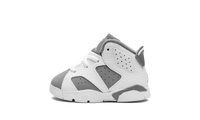 Air Jordan 6 TD Cool Grey DV3606 100