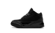Air Jordan 3 PS Black Cat DM0966 001