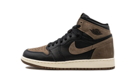 Air Jordan 1 Retro High OG GS Palomino FD1437 020
